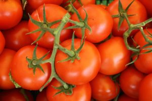 Aprovecha los tomates maduros