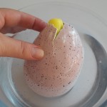 Huevo de dinosaurio eclosionando