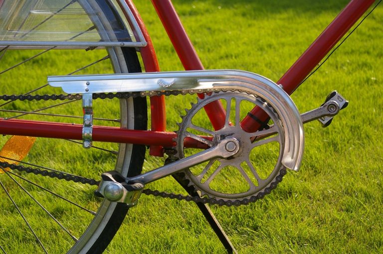 Cadena oxidada de la bicicleta